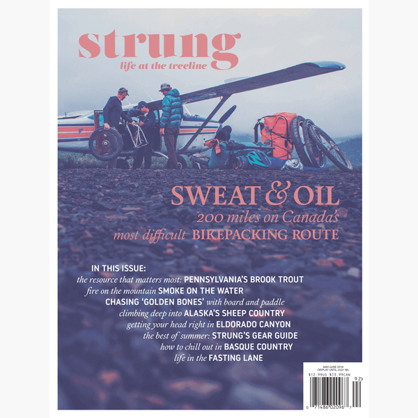 STRUNG-SUMMER-2019_cover(highres)-457x600