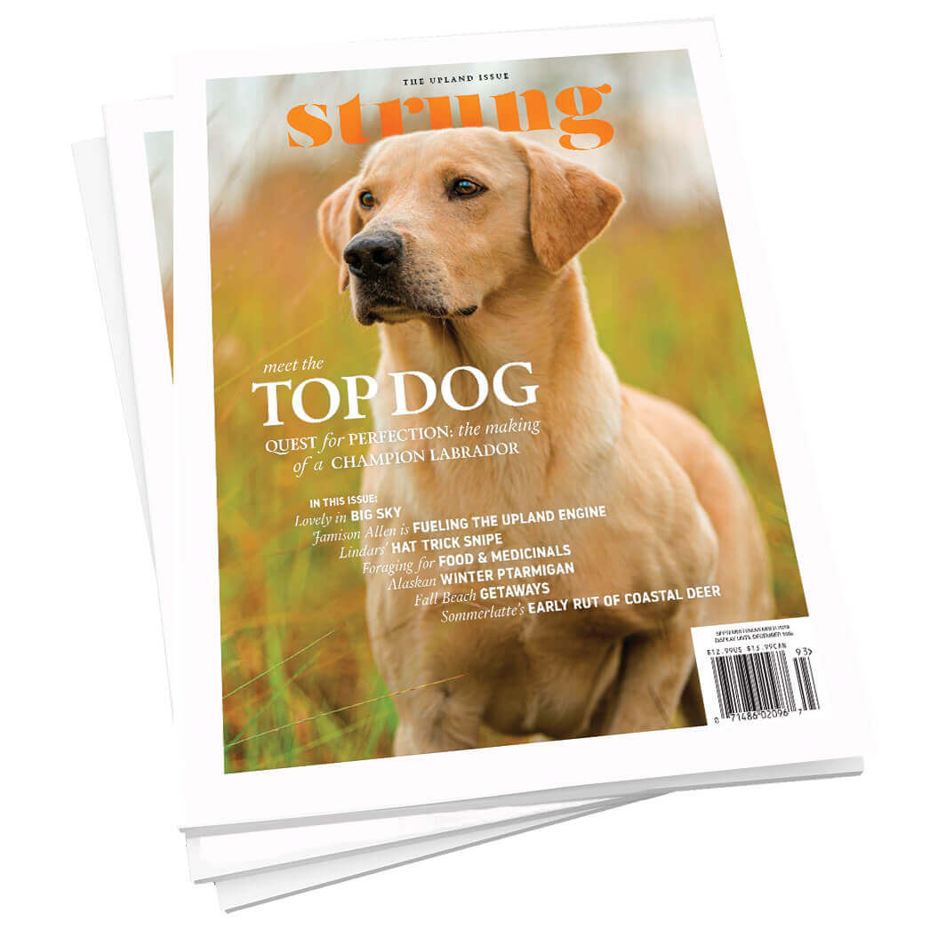 Strung Magazine - the upland issue - September 2019