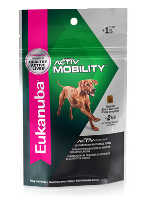 Dog training with Eukanuba Functional Complements ACTIVMOBILITY