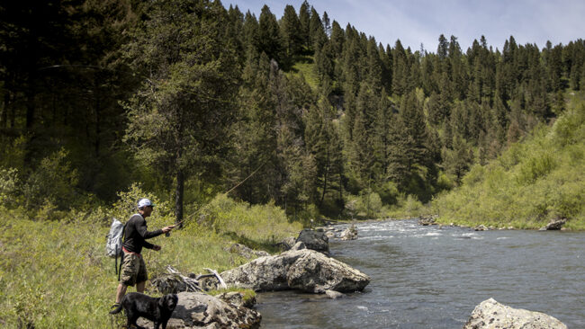 Lost Bears Island Park Adventure and Few Unanswered Questions In theory, a fishing story can be about a number of things. At least I hope so. I hadn’t been to Idaho in years. The photojournalist Natalie Behring and I had been talking about doing a story on the three grizzly bears Strung Magazine Tied to Nature