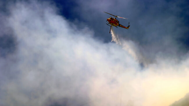 Grouse Above the Smoke Wildfires are less familiar than the Grouse Strung Magazine Tied to Nature